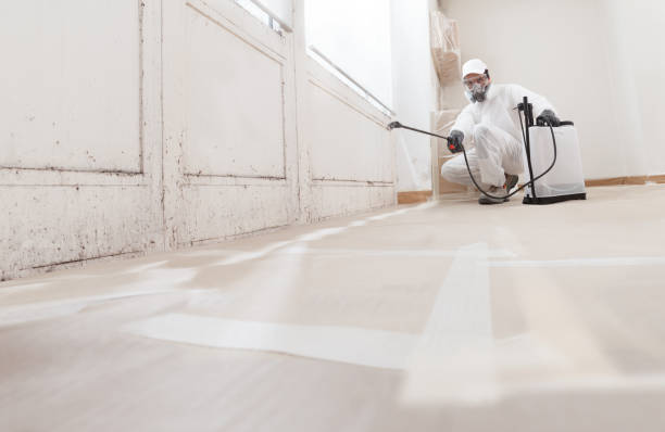 24/7 Emergency Attic Mold Removal experts in Langhorne, PA