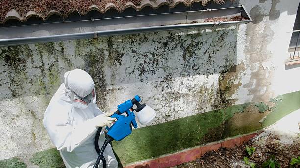 Top rated local Attic Mold Removal specialists in Langhorne, PA